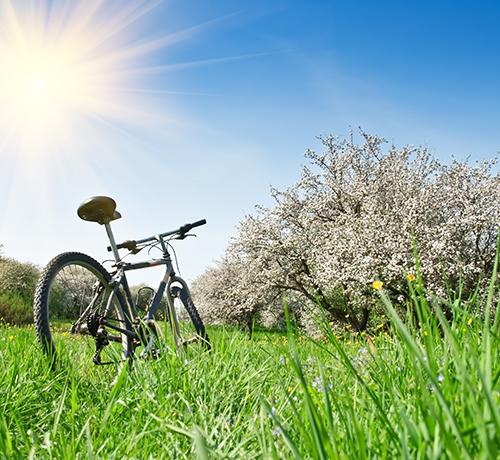 10 Jahre Stadt Puchheim – Neue Quartiere brauchen Gemüse: Bürgermeister lädt Naturradler:innen zur Umwelttour am 13. Mai ein