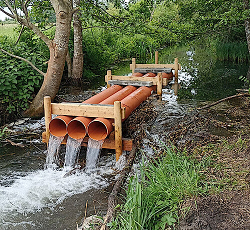 Das Umweltamt informiert – Drainage im Biberdamm soll Überfluten landwirtschaftlicher Flächen verhindern