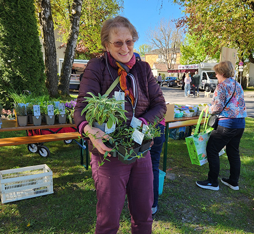 Gelungene Aktion „Puchheims grüner Daumen“