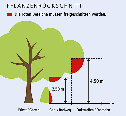 Hinweise zum Rückschnitt – Überwuchs bei Bäumen, Sträuchern und Hecken beseitigen