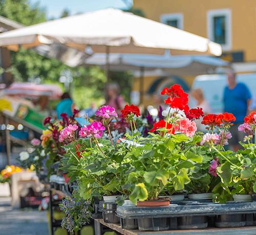 Puchheimer Wochenmarkt – Neuer Marktstand für Bio-Obst und -Gemüse