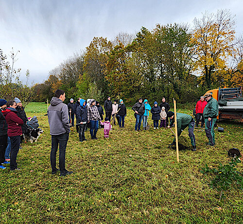 Pflanzaktion auf der Hochzeitsweise