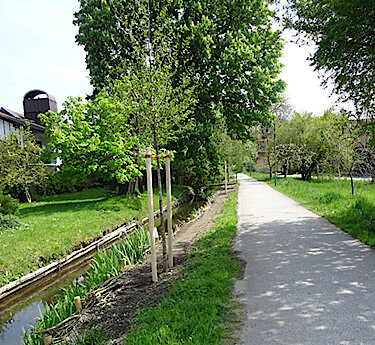 Schattenspender für den Gröbenbach