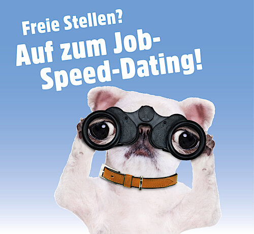 Job-Speed-Dating der Wirtschaftsförderung am 14. Oktober um 18 Uhr