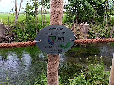 Auf dem Stamm des neu gepflanzten Baumes ist eine Plakette mit der Aufschrift Auf dem Stamm des neu gepflanzten Baumes ist eine Plakette mit der Aufschrift
