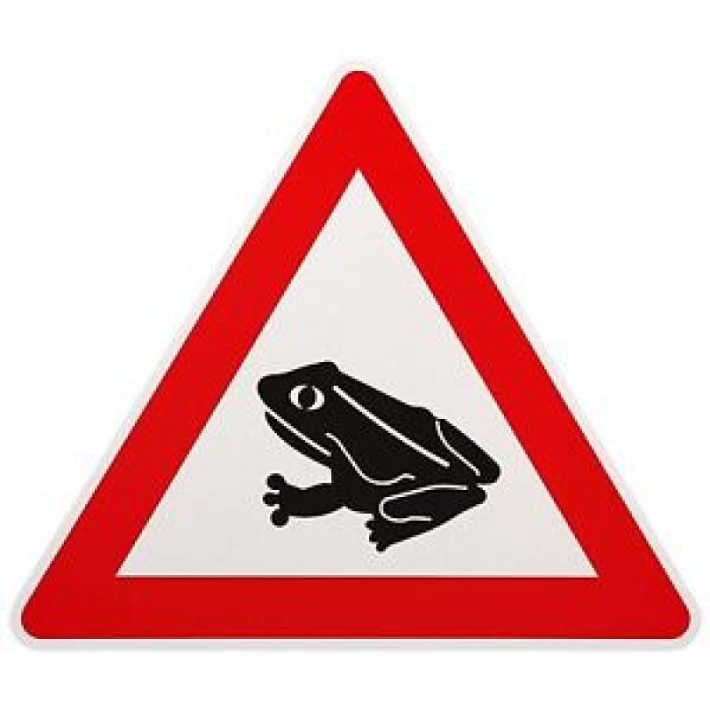 Krötenwanderung macht Straßensperrung notwendig