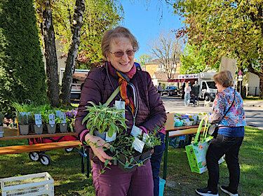 Brigitte Thema vor dem Stand des Umweltamtes, sie hält die Pflanzen in der Hand.