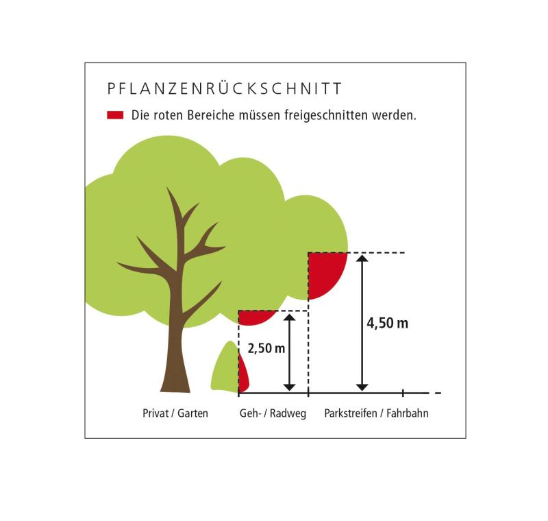 Hinweise zum Rückschnitt von Überwuchs – Wenn privates Grün in Straßen und Gehwege ragt 