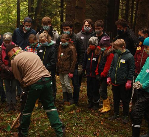 Pflanzaktion P-Seminar Biologie Gymnasium Puchheim – Gelungene Wiederaufforstung einer Waldfläche